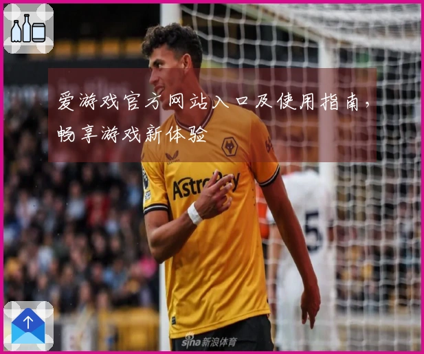 爱游戏官方网站入口及使用指南，畅享游戏新体验